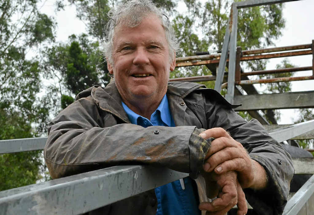 LOADING UP: Rod Edwards won the Killarney Show grand champion ribbon for his pen of three Angus cross heifers from his Koreelah Creek Angus operation. LOADING UP: Rod Edwards won the Killarney Show grand champion ribbon for his pen of three Angus cross heifers from his Koreelah Creek Angus operation.